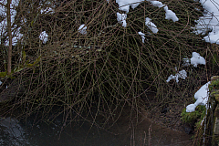 20130216220744 29455