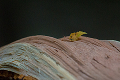 20130619210138 21418