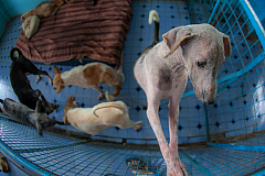 20131230153703 1022