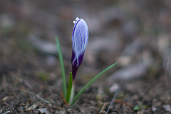 20130324182338 20849