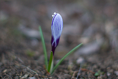20130324182339 20851