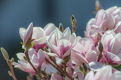 20130418124020 20927