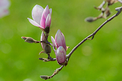 20130418124241 20969