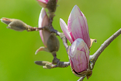 20130418124248 20974