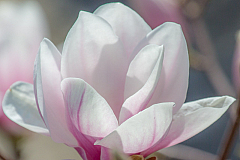 20130418124311 20985