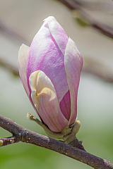 20130418124321 20992