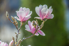 20130418124455 21030