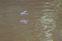 20130812131541 21059
