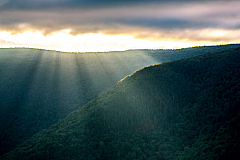 Morning at Mount Greylock