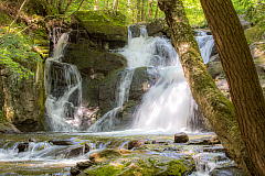 Adams & Pecks Falls