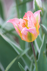20130509190330 25946