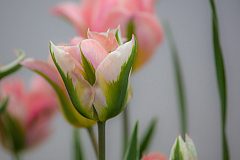 20130509190345 25959