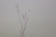 20130516064656 27140