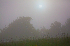 20130516065320 27178