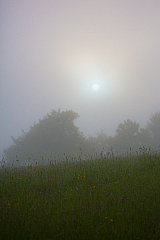 20130516065331 27184
