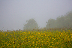 20130516065822 27210