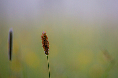 20130516070038 27217