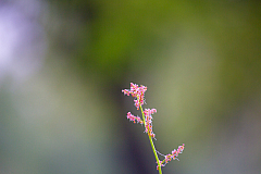 20130516071848 27314