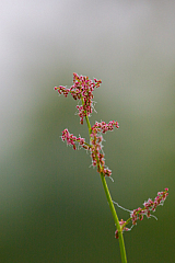 20130516071856 27315