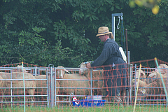 20130824083707 21718