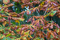 20131014085814 27333