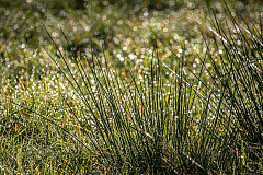 20131030083859 28246