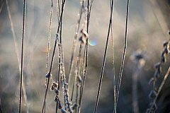 20131031081224 28386