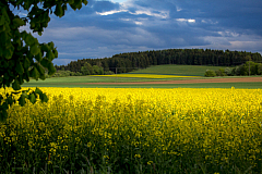 Augsburg