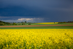 20140507181448 58485
