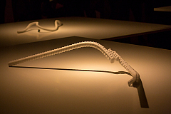 Ai Weiwei – Evidence