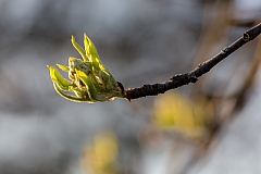 20140327174946 55487