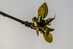20140327175106 55499