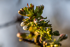 20140327175235 55504