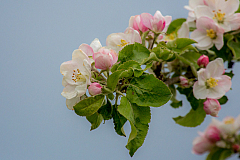 20140420115236 56801