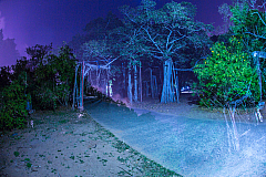 20140122202545 44210