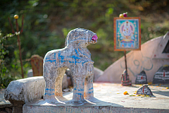 06 pongal 20140115154102 40750