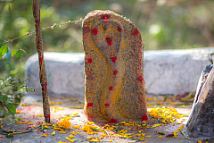 06 pongal 20140115154131 40761