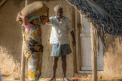 06 pongal 20140115160332 40926