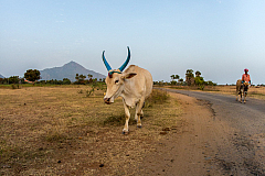 09 nature 20140118173457 43171