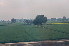 Panchkula