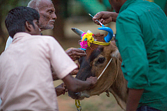 20140117181920 42783