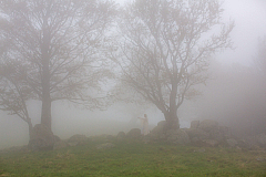 20141011161722 74338