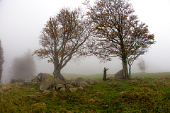 20141011164315 0794