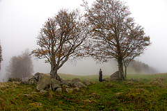20141011164337 0825