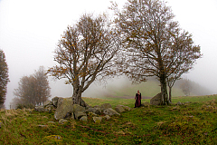 20141011164401 0836