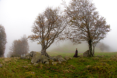 20141011164418 0856