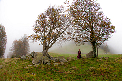 20141011164427 0868