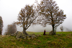 20141011164607 0933
