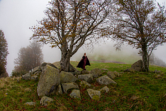 20141011164650 0951