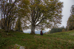 20141011170421 1161
